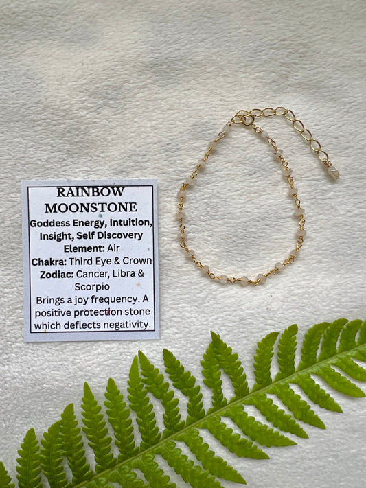 Morning Dew Bracelet in Rainbow Moonstone