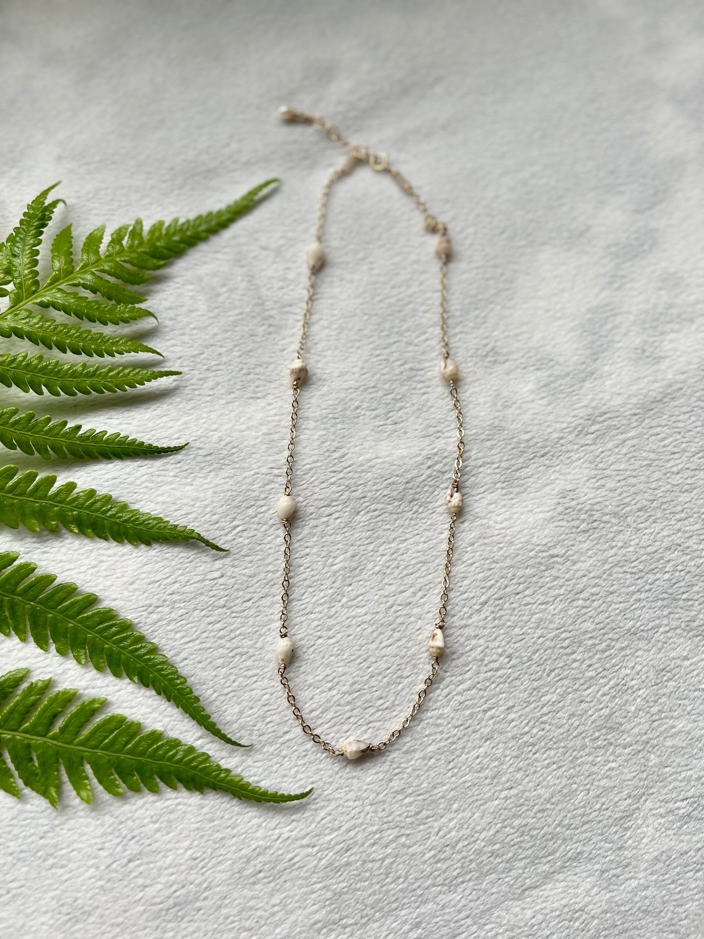Momi Shell Choker