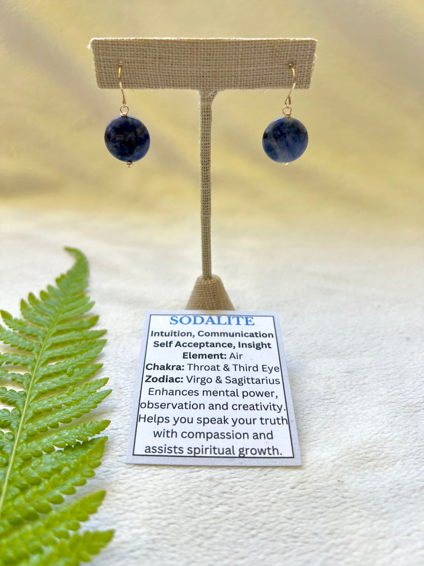 Sodalite Earrings
