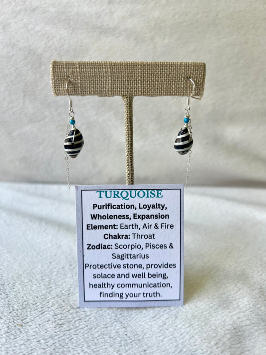 Zebra Shell & Turquoise Earrings