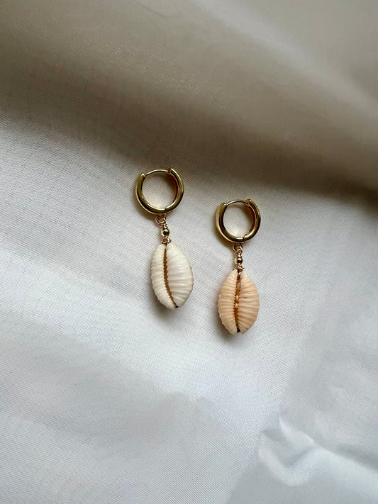 Granulated Cowry Shell Huggies