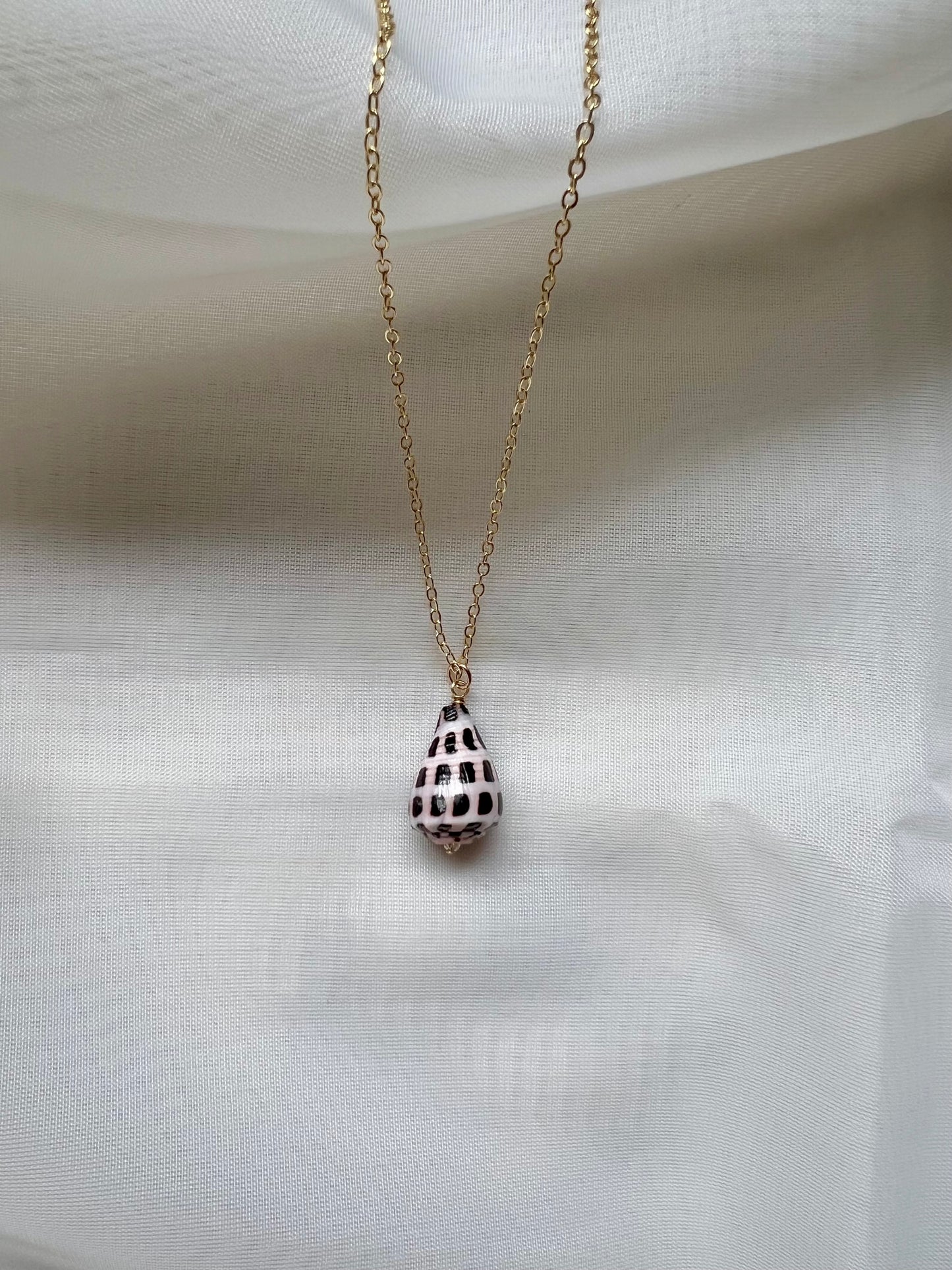 Mini Hebrew Cone Shell Necklace