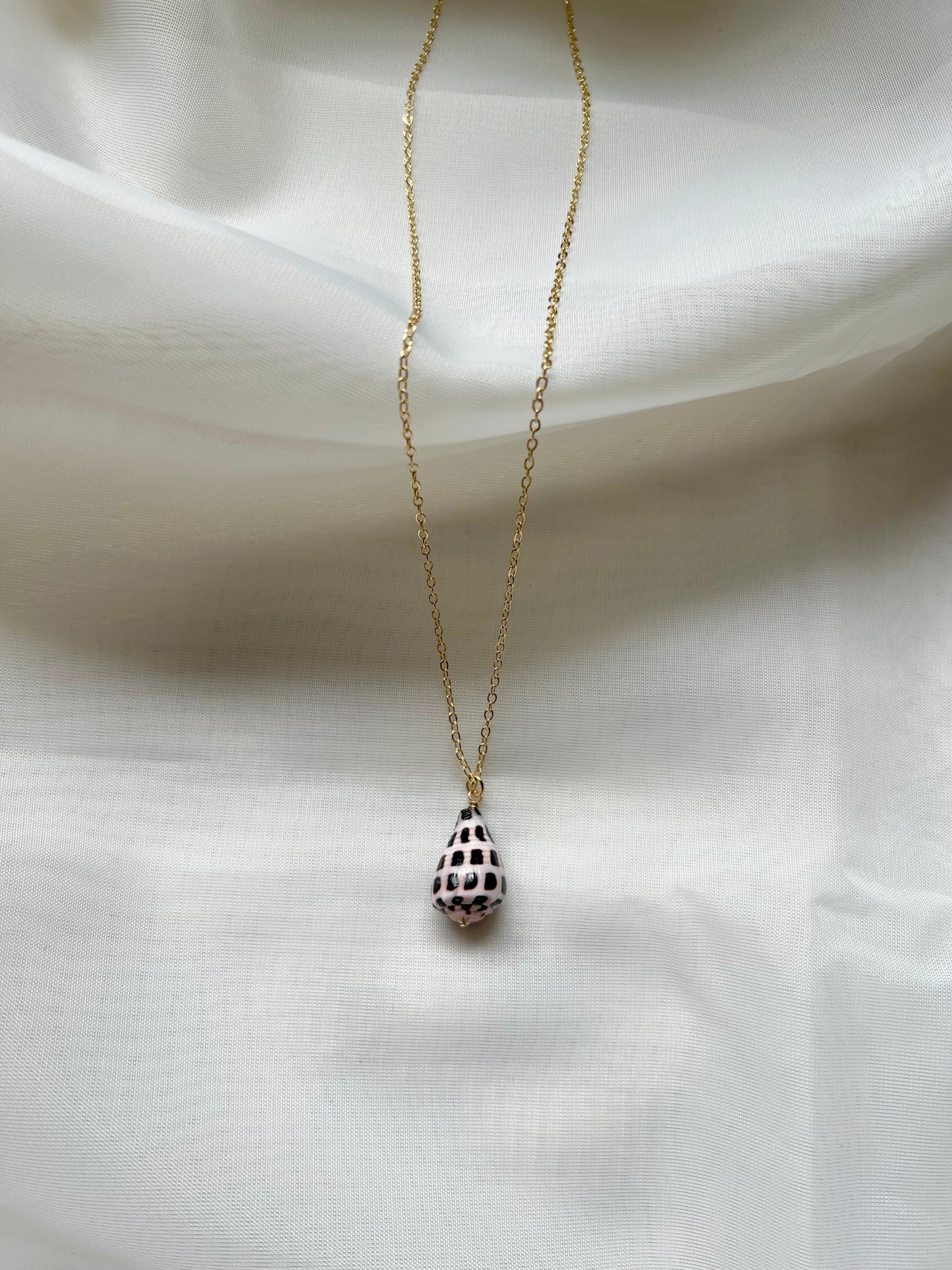 Mini Hebrew Cone Shell Necklace